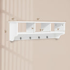 EntryDrop Wall Cubby + Hook Organizer