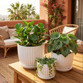 White Fluted Ceramic Planters — Set of 3