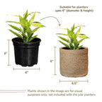 Woven Jute Planter Baskets — Set of 2