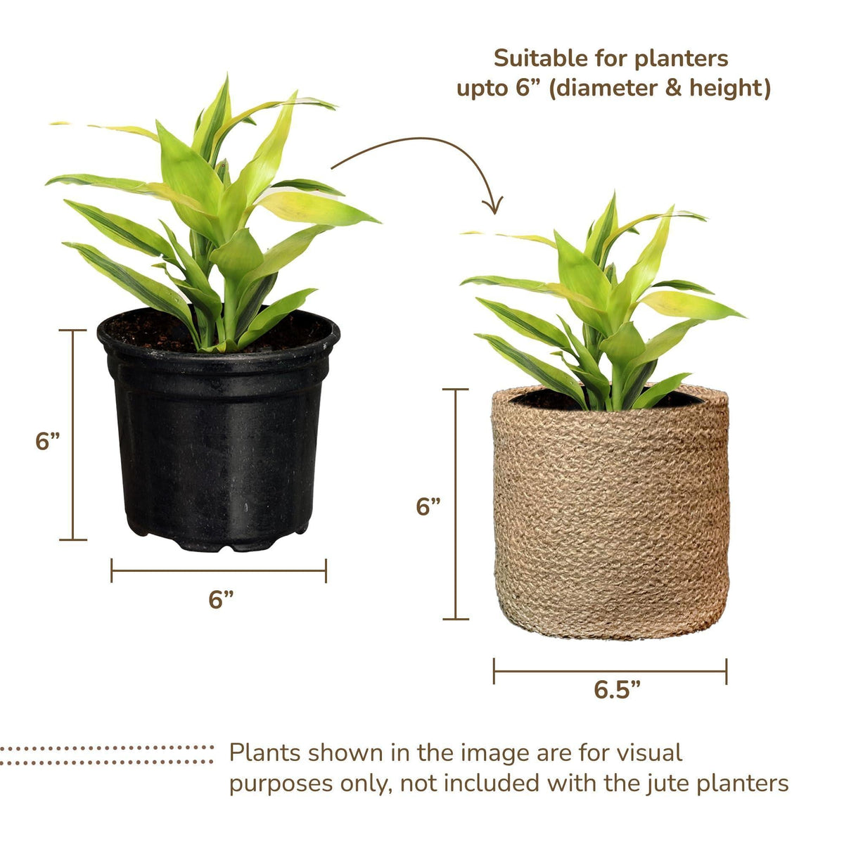 Woven Jute Planter Baskets — Set of 2
