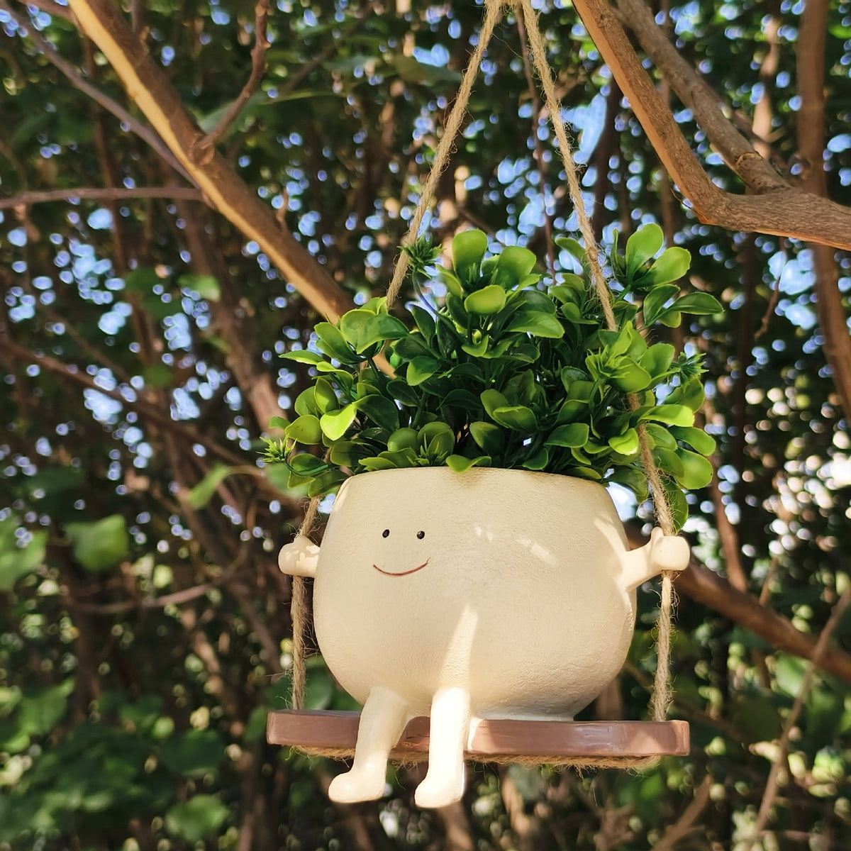 Swing Face Wall Planter