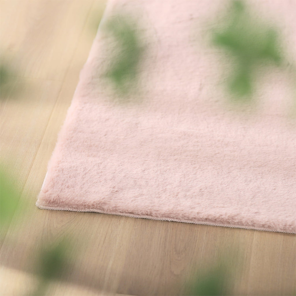 Soft Accent Area Rug
