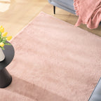 Soft Accent Area Rug