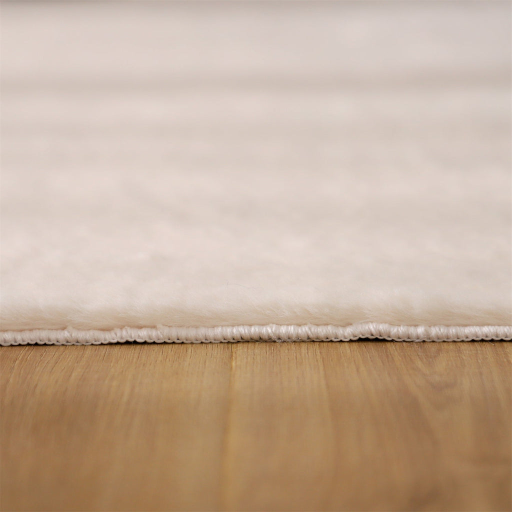 Soft Accent Area Rug