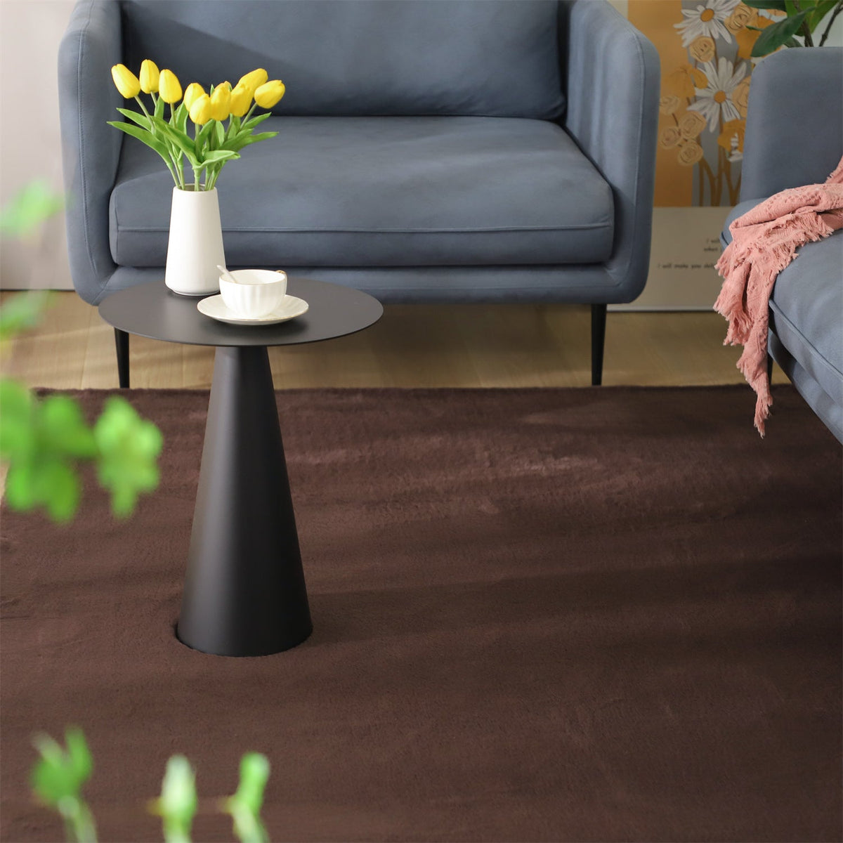 Soft Accent Area Rug