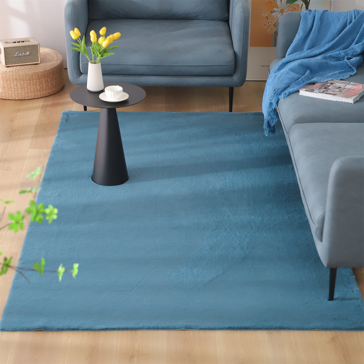 Soft Accent Area Rug — Multiple Sizes