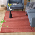 Soft Accent Area Rug
