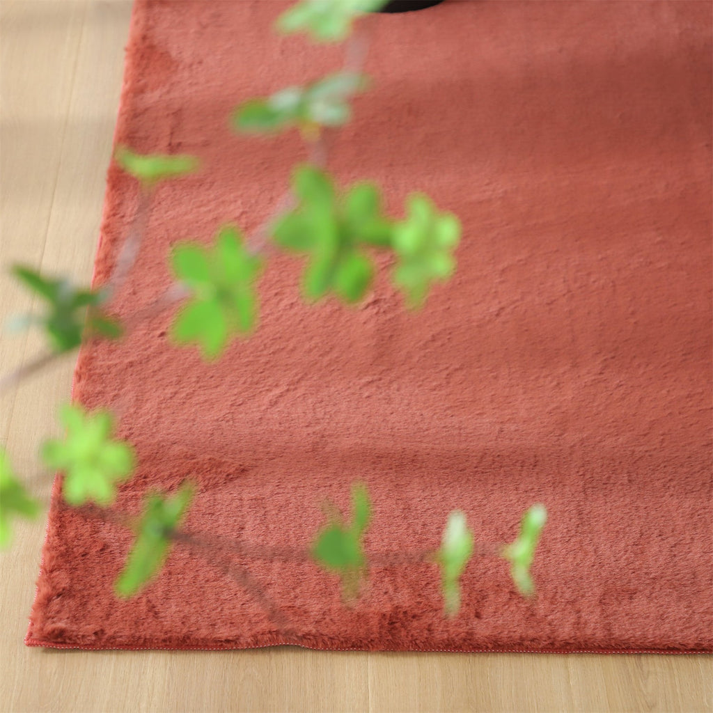 Soft Accent Area Rug