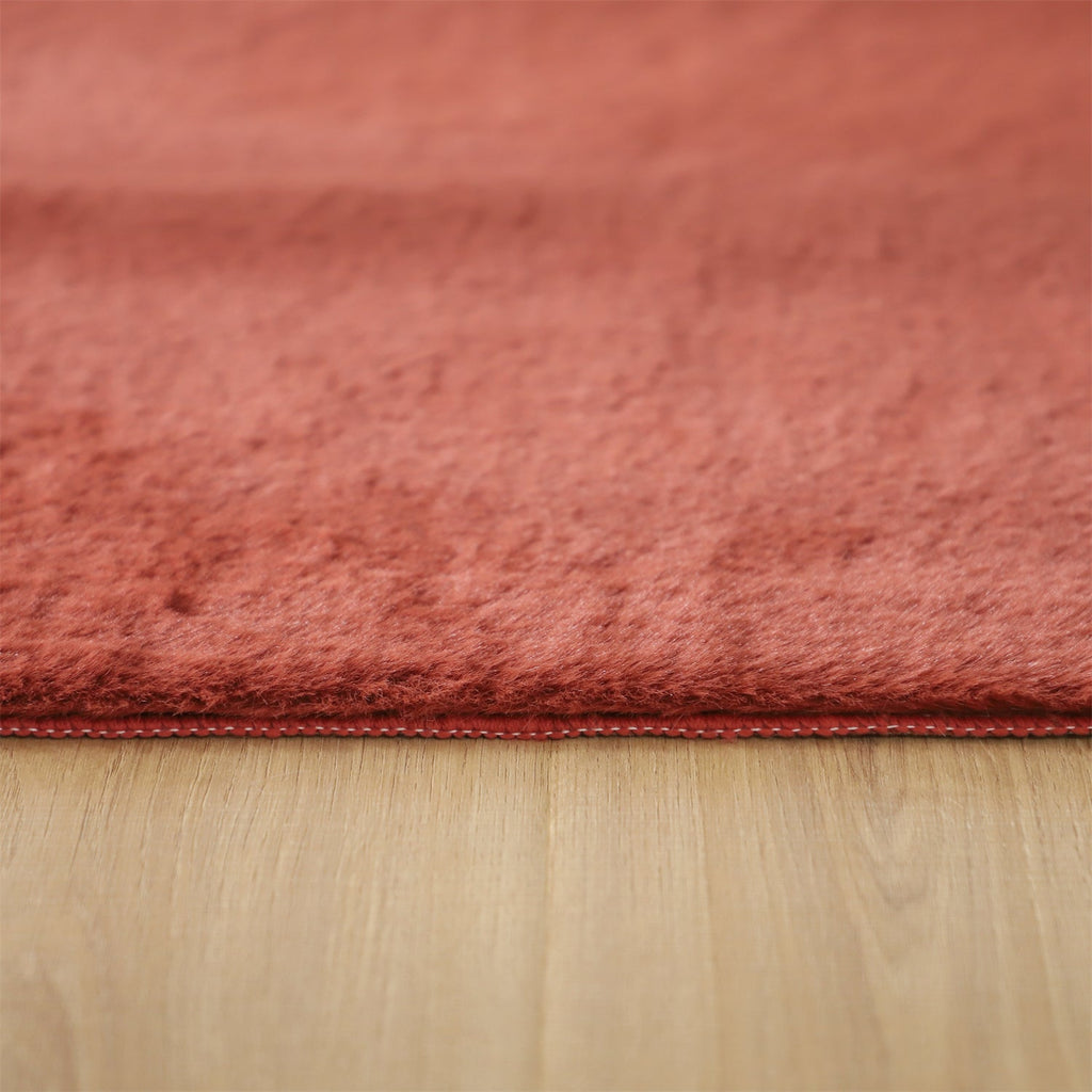 Soft Accent Area Rug