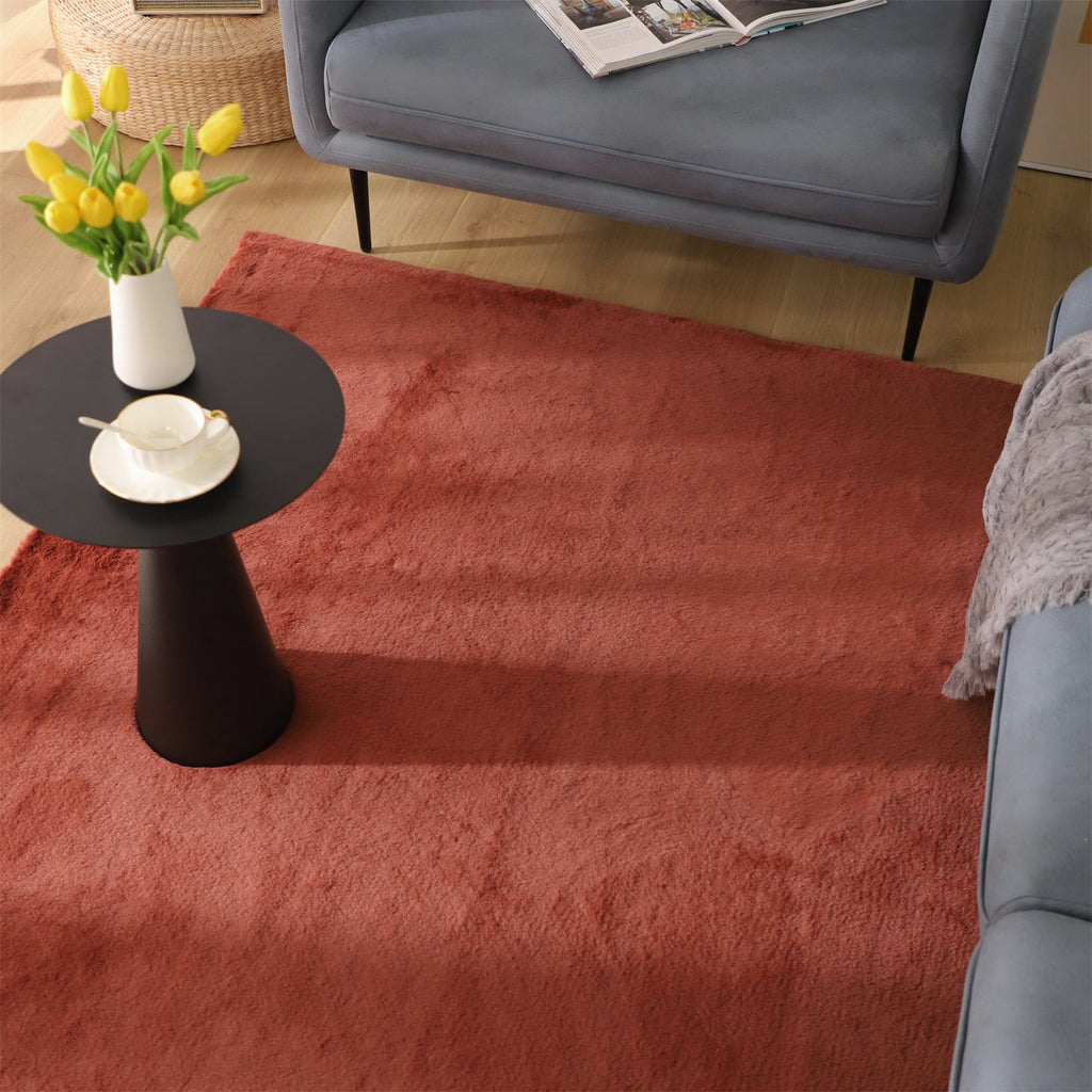 Soft Accent Area Rug