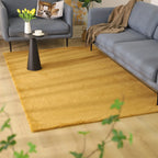 Soft Accent Area Rug