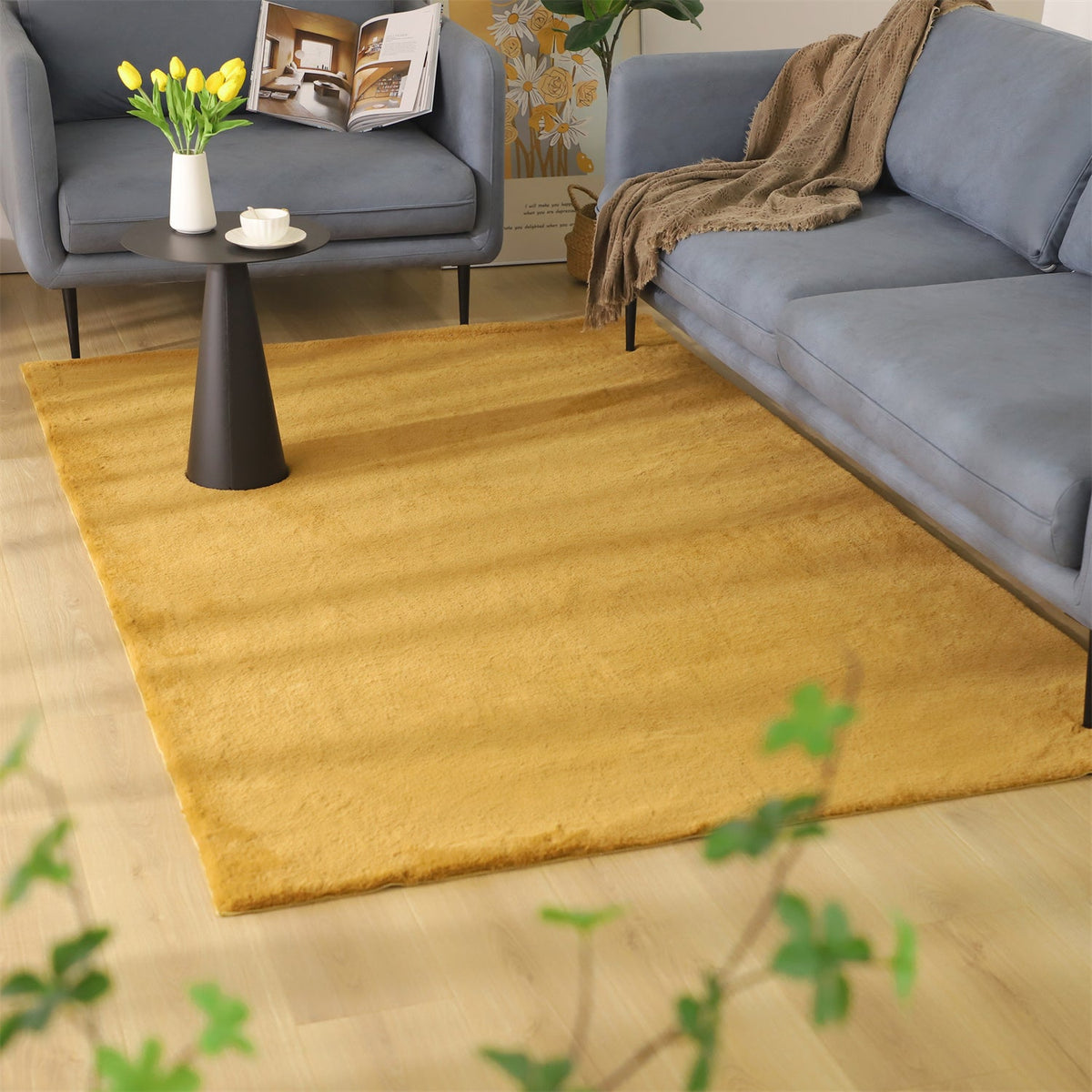 Soft Accent Area Rug