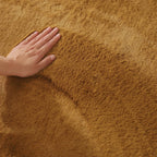 Soft Accent Area Rug