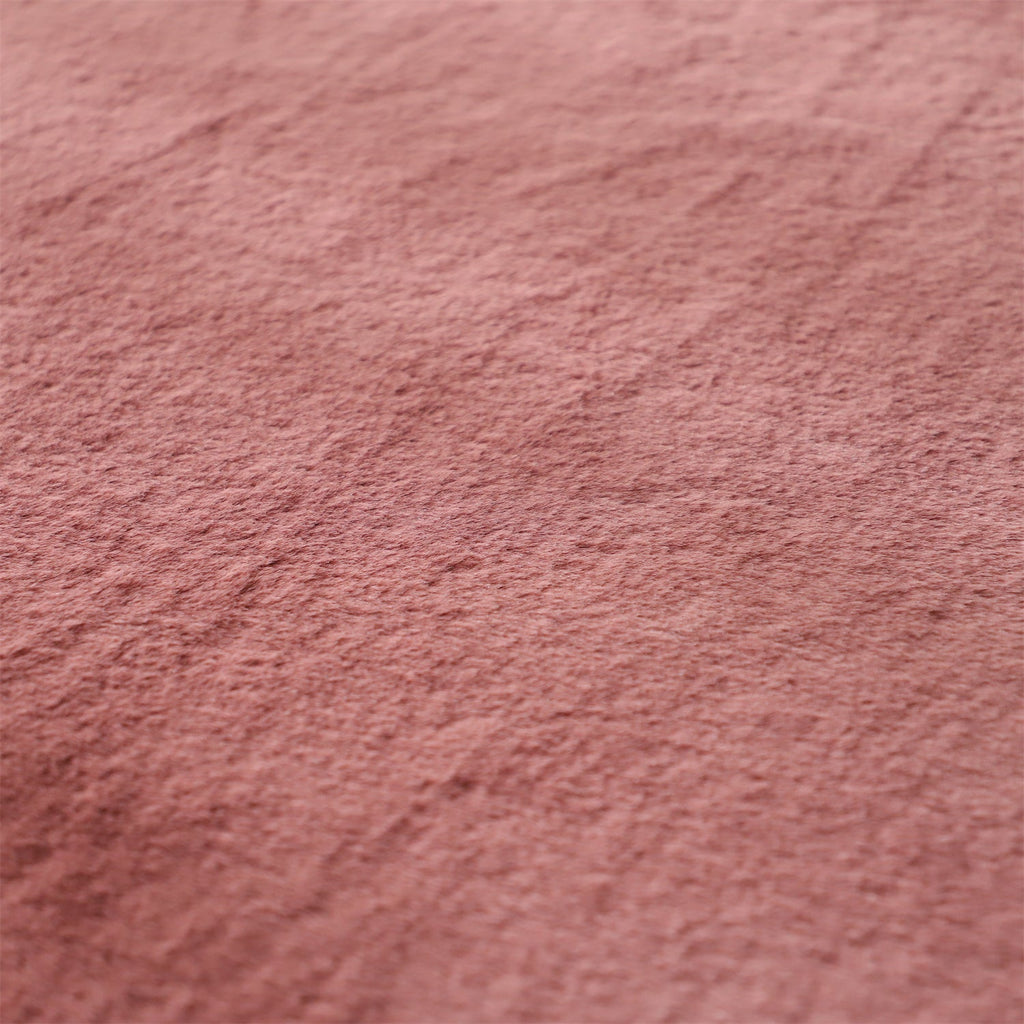 Soft Accent Area Rug