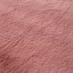 Soft Accent Area Rug