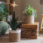 Rimmed Woven Basket Planter