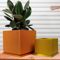 Desert Vista Planter with Drainage