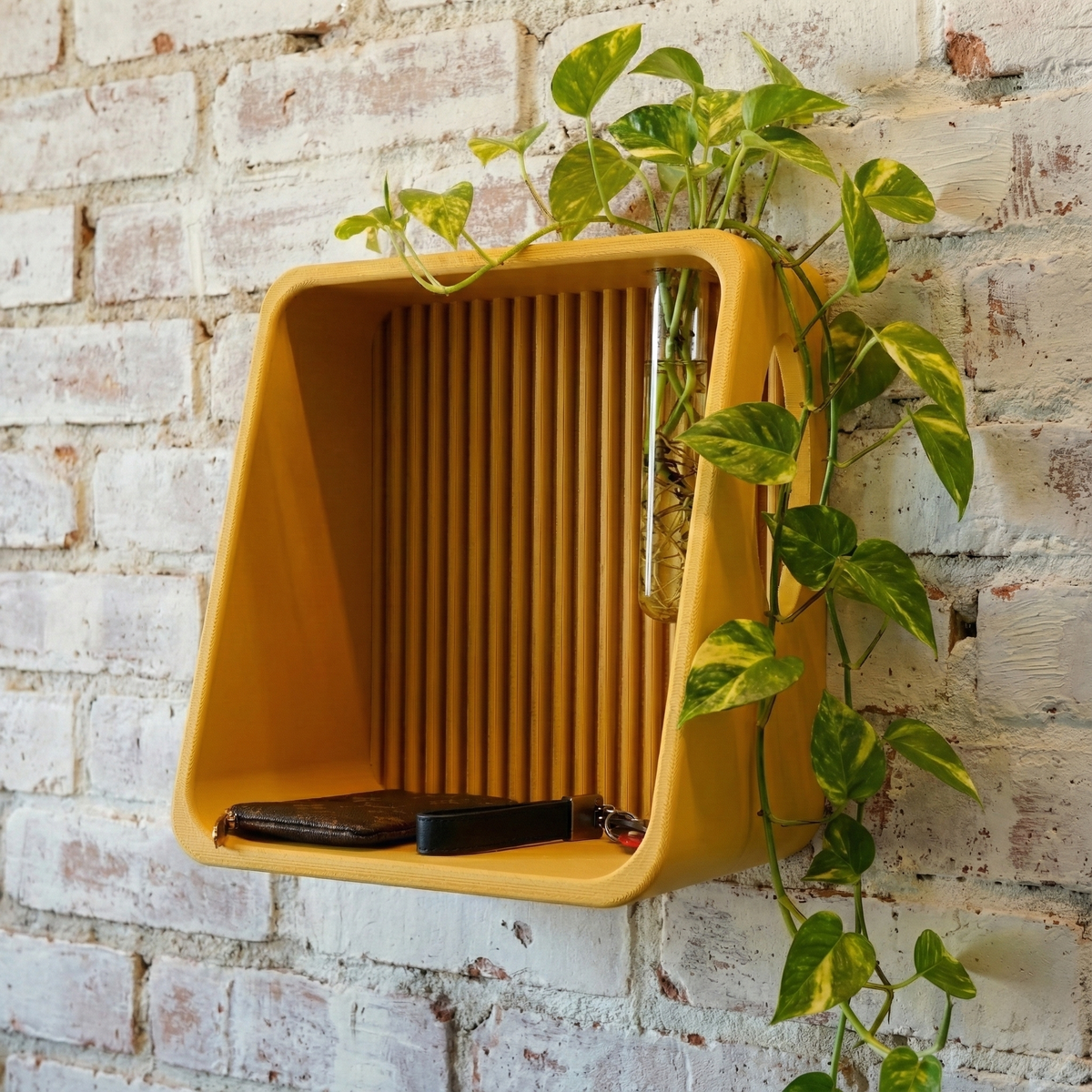 Modern Floating Wall Shelf, Propagation or Reed Diffuser