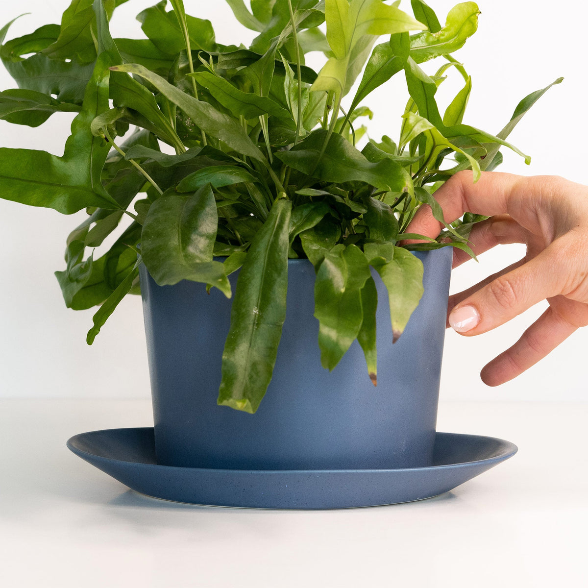 Geometric Oval Handmade Porcelain Planter
