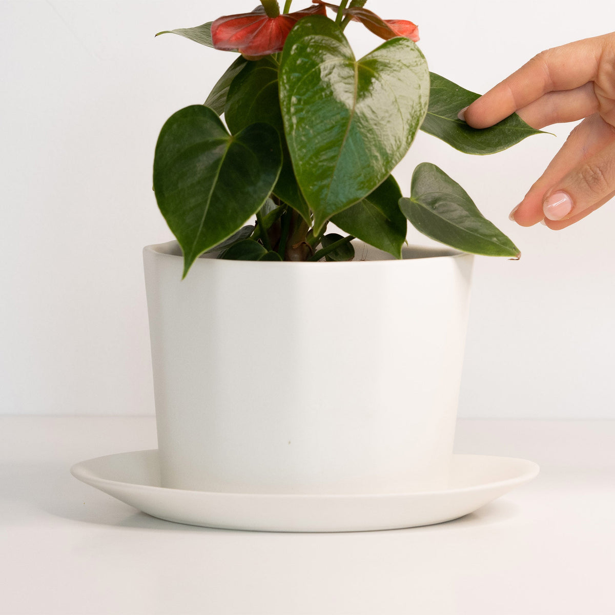 Geometric Oval Handmade Porcelain Planter
