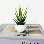Mini Faux Succulent Pot