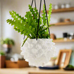Creature Orb Hanging Planter