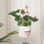 Mini Boho Macrame Wall Hanging