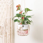 Mini Boho Macrame Wall Hanging
