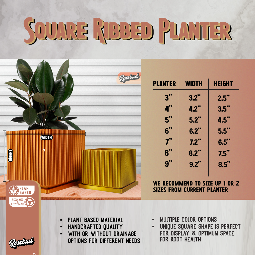 Desert Vista Planter with Drainage